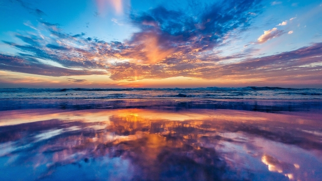 法国禁止游戏中使用英语术语！法语新表达又增加了！法专生：我学不完了......